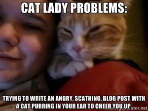 cat lady problems meme 1 blog